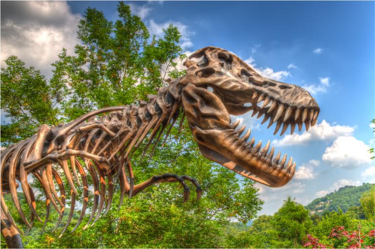 Experience Downtown Salt Lake and the Dinosaur Park