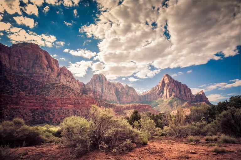 Experience Downtown Salt Lake and Zions National Park